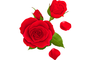 rose flower png