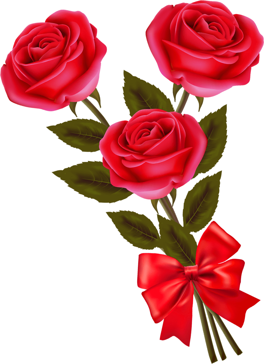 The Beauty Of Flowers Png Hd Rose