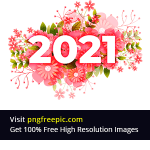 new year 2021 png