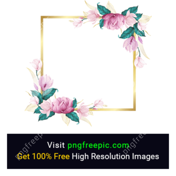 Flower Photo Frame PNG