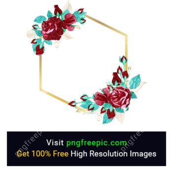 Flower Photo Frame PNG 6