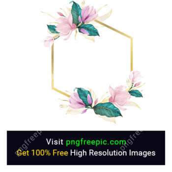 Flower Photo Frame PNG 7