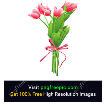 Tulip Flower Art PNG