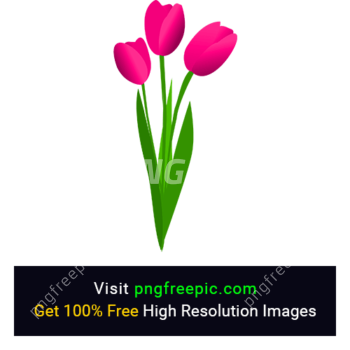 Pink Tulip Flower Clipart
