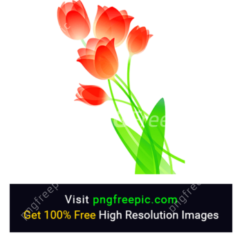 Red Tulip Flower PNG