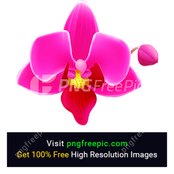 orchid flower png