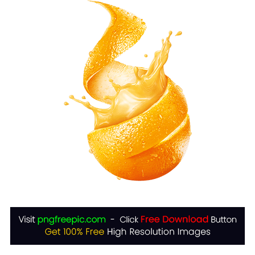 Orange Citrus Fruit illustration PNG
