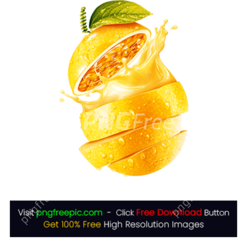 Illustration Fruit Slice PNG