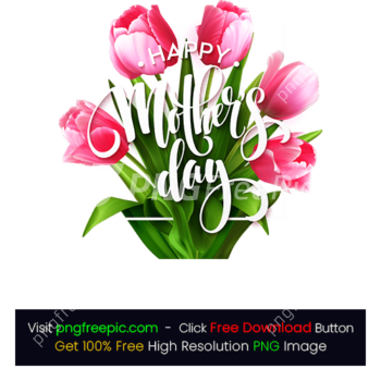 Blooming Tulip Flowers Mothers Day PNG