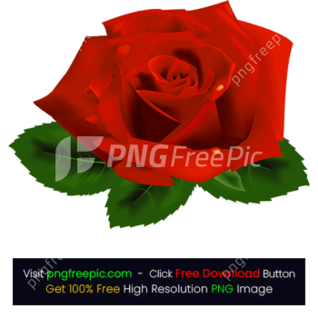 Bright Rose Flower PNG