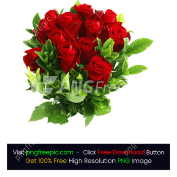 Red Color Roses PNG