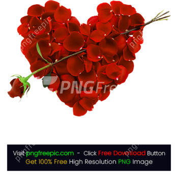 HD Love Rose Flower PNG