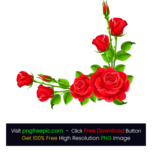 HD Rose Background PNG - Red Flower PNG Images - Free Download