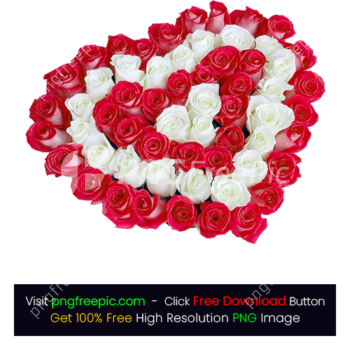 Red White Rose Heart PNG
