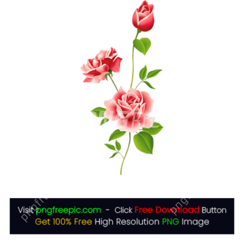 Clipart Rose Flower PNG