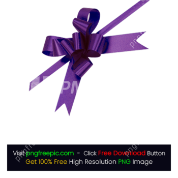 illustration Gift Ribbon Bow Purple Color PNG