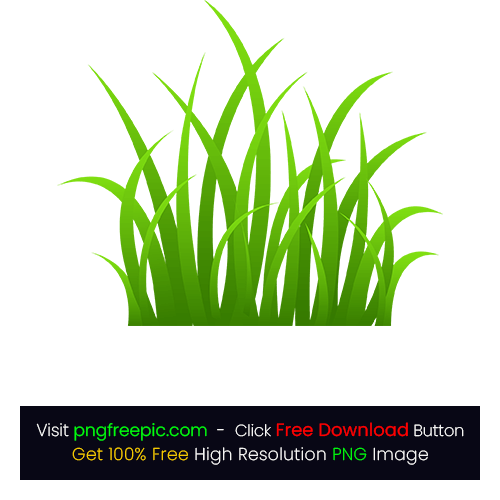 Clipart Drawing Green Grass PNG