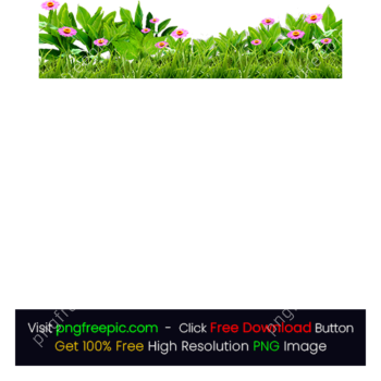 Green Grass Color Petaled Abstract PNG