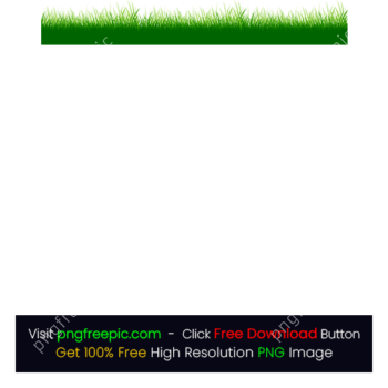 Green Grass Background Transparent PNG