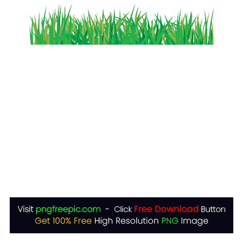 Grass Vector Drawing Transparent PNG
