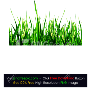 Artificial Vector Grass PNG