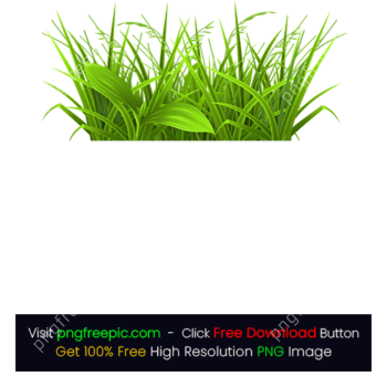 Clipart Grass Leaf Picture PNG