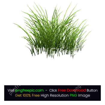 Green Grass PNG Background