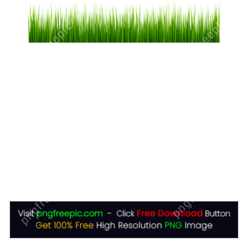 Artificial Green Grass PNG