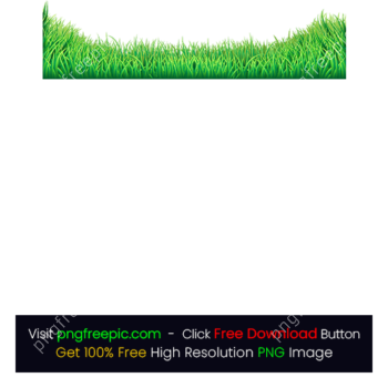 Grass PNG Transparent Background