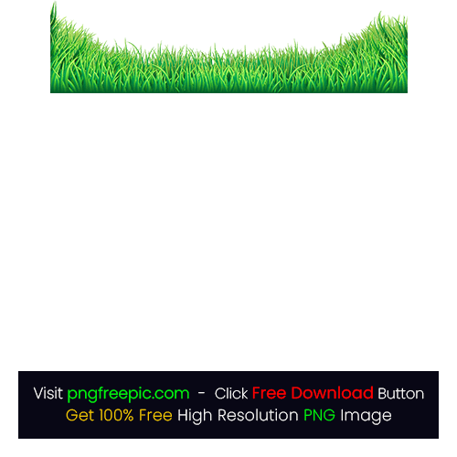 Grass PNG Transparent Background