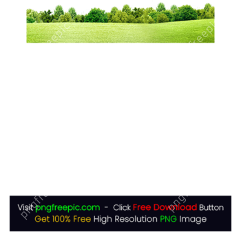 Green Trees Grass Field PNG