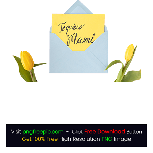 Beautiful Mother's Day PNG Tulip Flower