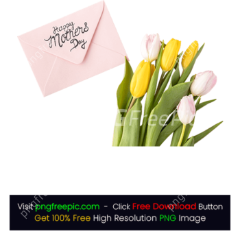 Tulip Flower Mother's Day PNG Event Card