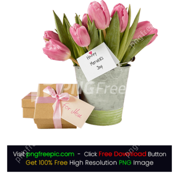 Tulips Gift Box Happy Mother's Day PNG