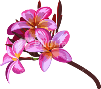 Send flowers online - hawaiian flowers vector - design - abstract - clipart