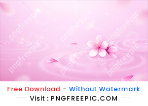 Water circles petals background realistic pink shine sakura flowers