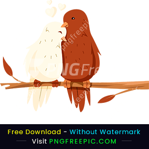 Valentines day couple birds love clipart png