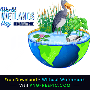 Vector world wetlands day png design image