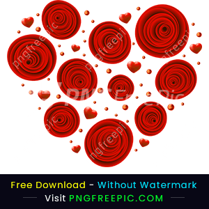 Valentines day roses flower with heart illustration png